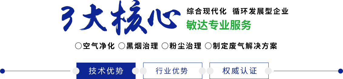 黑吊爆操欧美老女人敏达环保科技（嘉兴）有限公司